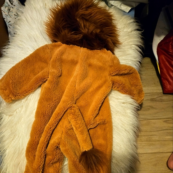 Toddler costume - Picture 3 of 4